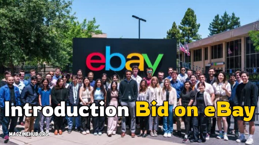 Introduction Bid on eBay